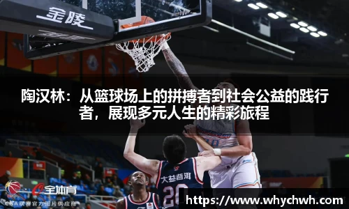 陶汉林：从篮球场上的拼搏者到社会公益的践行者，展现多元人生的精彩旅程